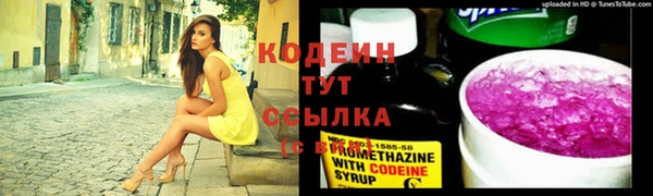 дурь Арсеньев