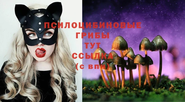 дурь Арсеньев