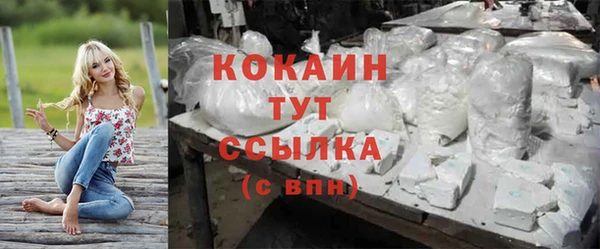 дурь Арсеньев