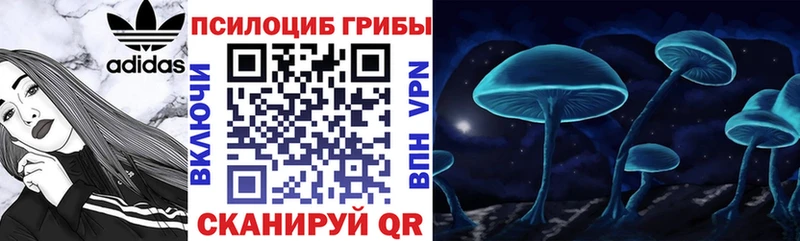 Галлюциногенные грибы Psilocybe закладки Дно