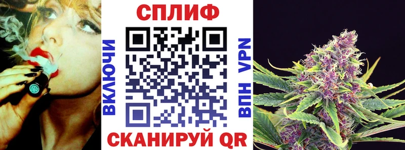 где найти   Дно  МАРИХУАНА OG Kush 